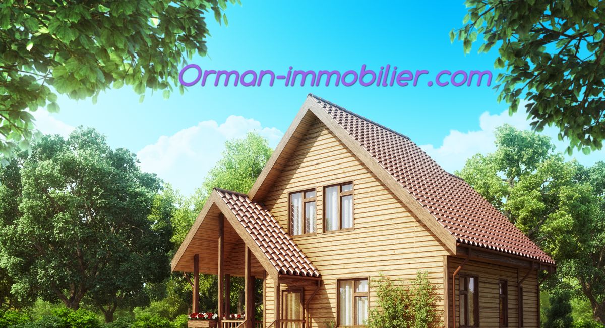 orman-immobilier.com